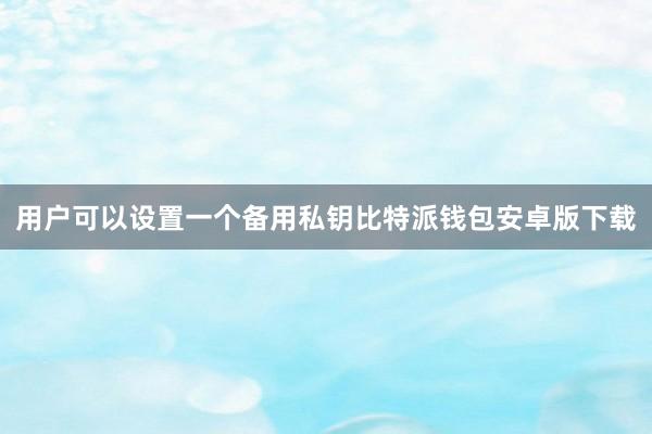 用户可以设置一个备用私钥比特派钱包安卓版下载