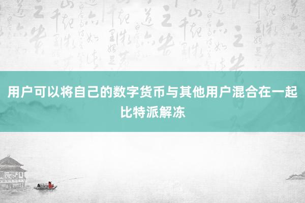 用户可以将自己的数字货币与其他用户混合在一起比特派解冻