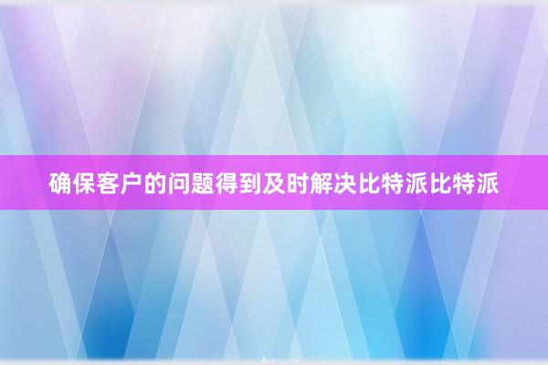 确保客户的问题得到及时解决比特派比特派