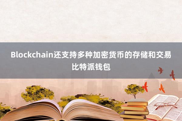 Blockchain还支持多种加密货币的存储和交易比特派钱包