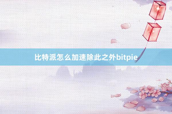 比特派怎么加速除此之外bitpie