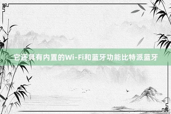 它还具有内置的Wi-Fi和蓝牙功能比特派蓝牙