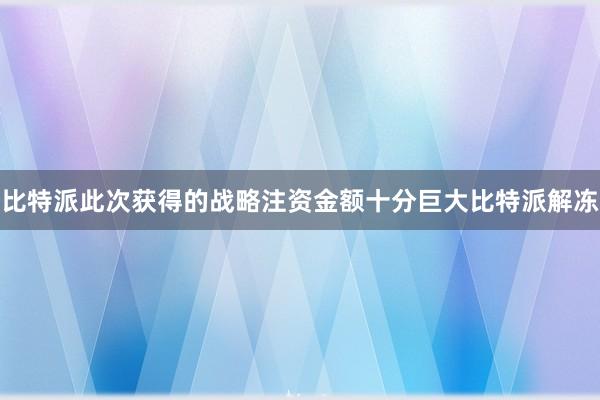 比特派此次获得的战略注资金额十分巨大比特派解冻