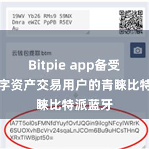 Bitpie app备受广大数字资产交易用户的青睐比特派蓝牙