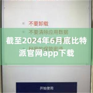 截至2024年6月底比特派官网app下载