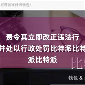 责令其立即改正违法行为并处以行政处罚比特派比特派