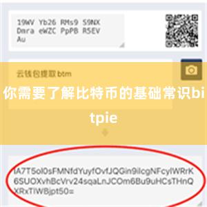 你需要了解比特币的基础常识bitpie